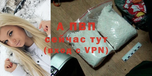 ПСИЛОЦИБИНОВЫЕ ГРИБЫ Михайловка