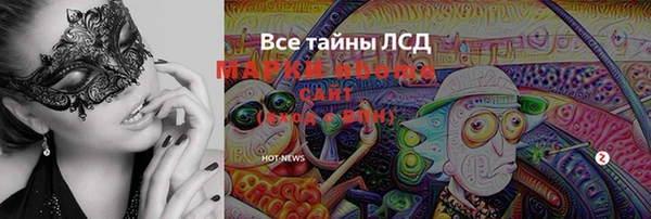 ПСИЛОЦИБИНОВЫЕ ГРИБЫ Михайловка